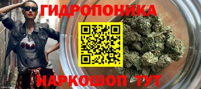 прущая мука Кингисепп