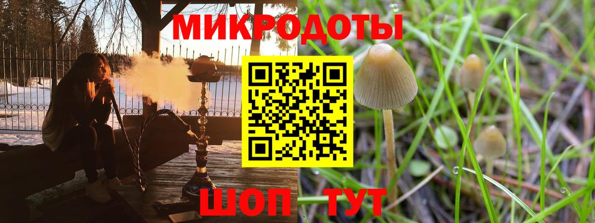 Галлюциногенные грибы GOLDEN TEACHER  закладка  Псилоцибиновые грибы мицелий  Казань  Вход с VPN 